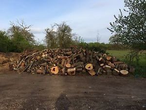 wood logs