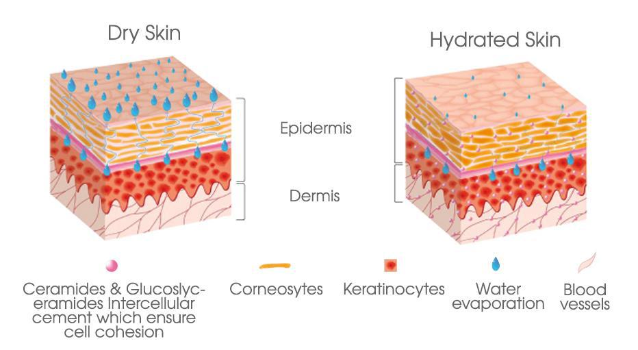 Patch of Dry Skin | Pine Belt Dermatology