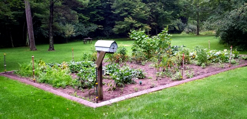 custom concrete curbing Fox Valley WI