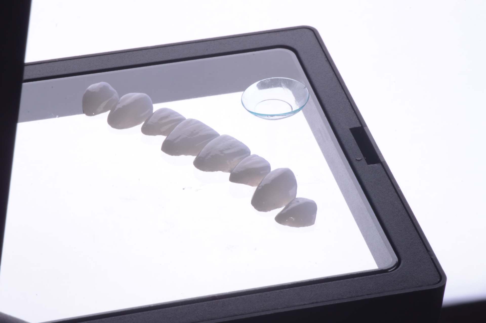 Conchas marinas blancas y una lente de contacto sobre una vitrina iluminada con marco negro.