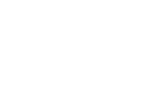 CINI MARMI - ARTE FUNERARIA DAL 1939-LOGO