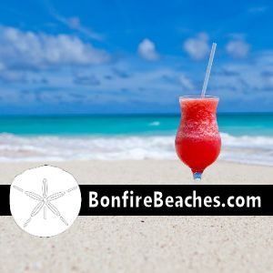 Beaches Seashells and Fishing Gifts