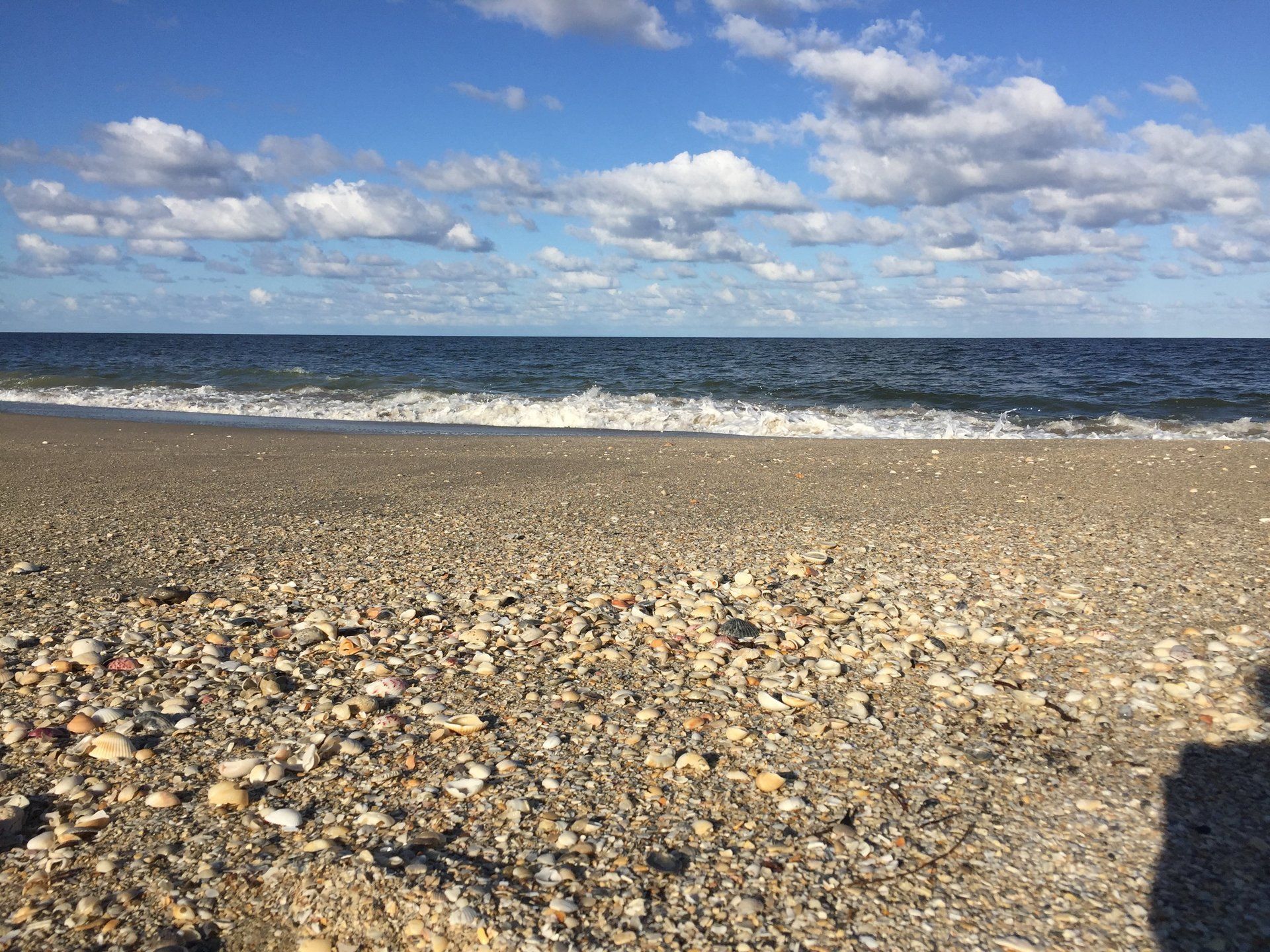 The Beach In Fall