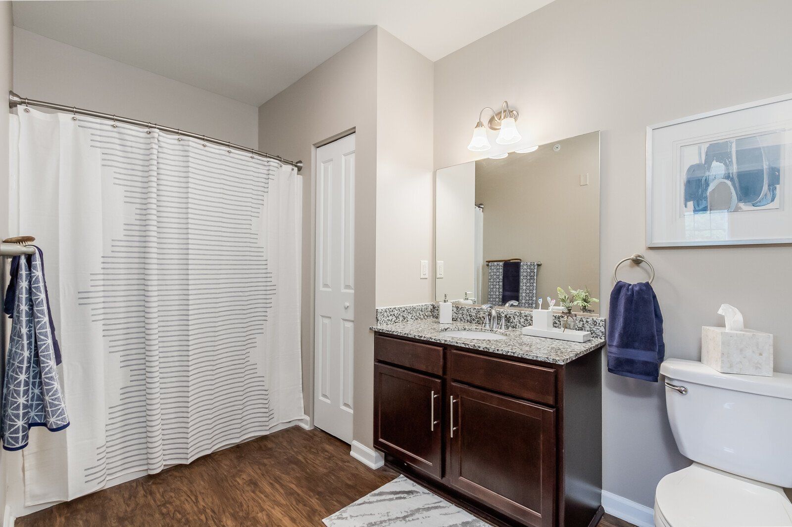 Bathroom with hardwood floors and granite countertops