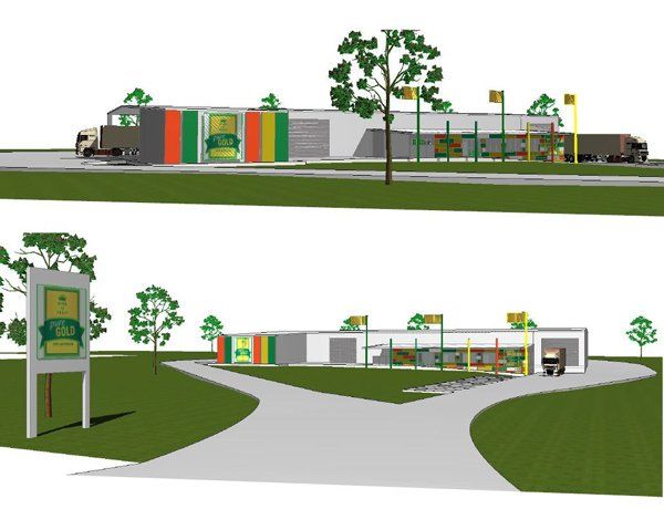 tropical pines project