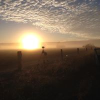 surveying at sunset