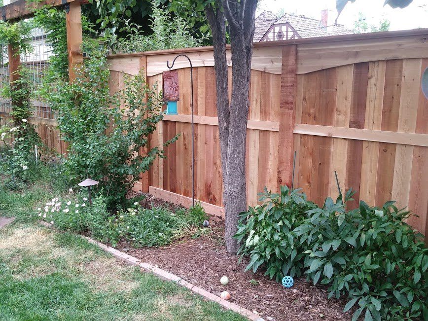 custom fence design