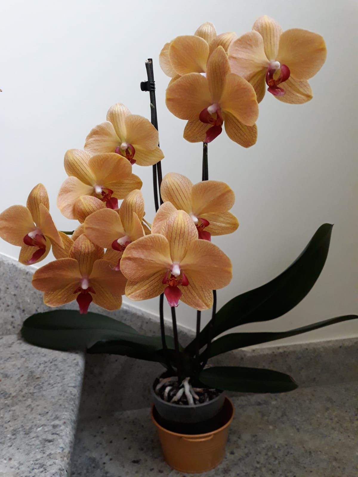 Addobbo floreale