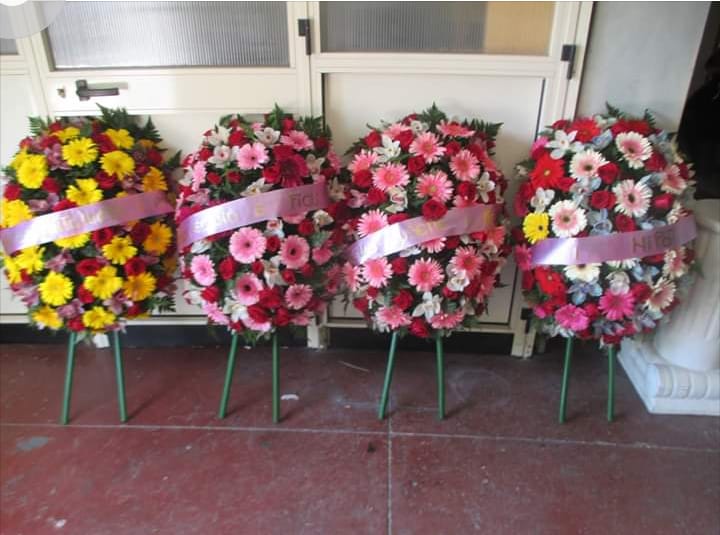 Cuscini di rose