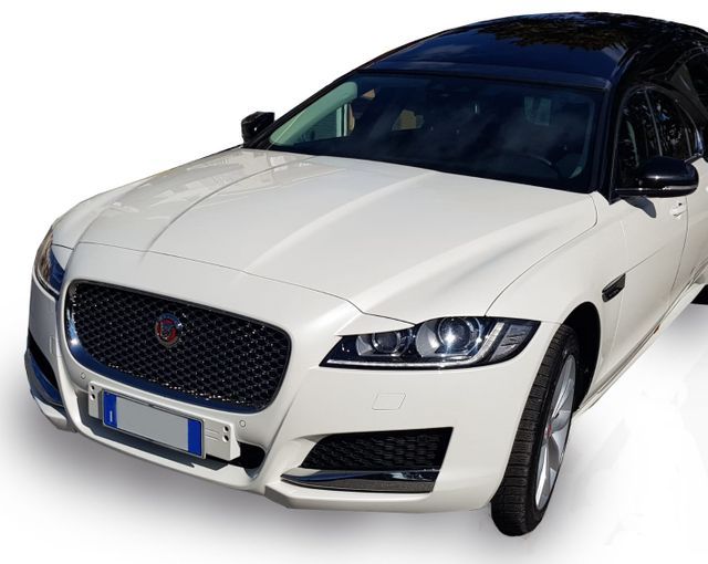 jaguar frontale