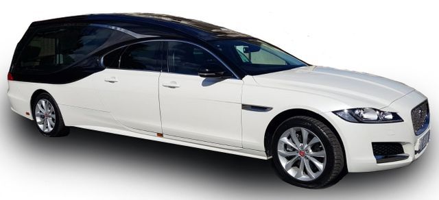 jaguar laterale