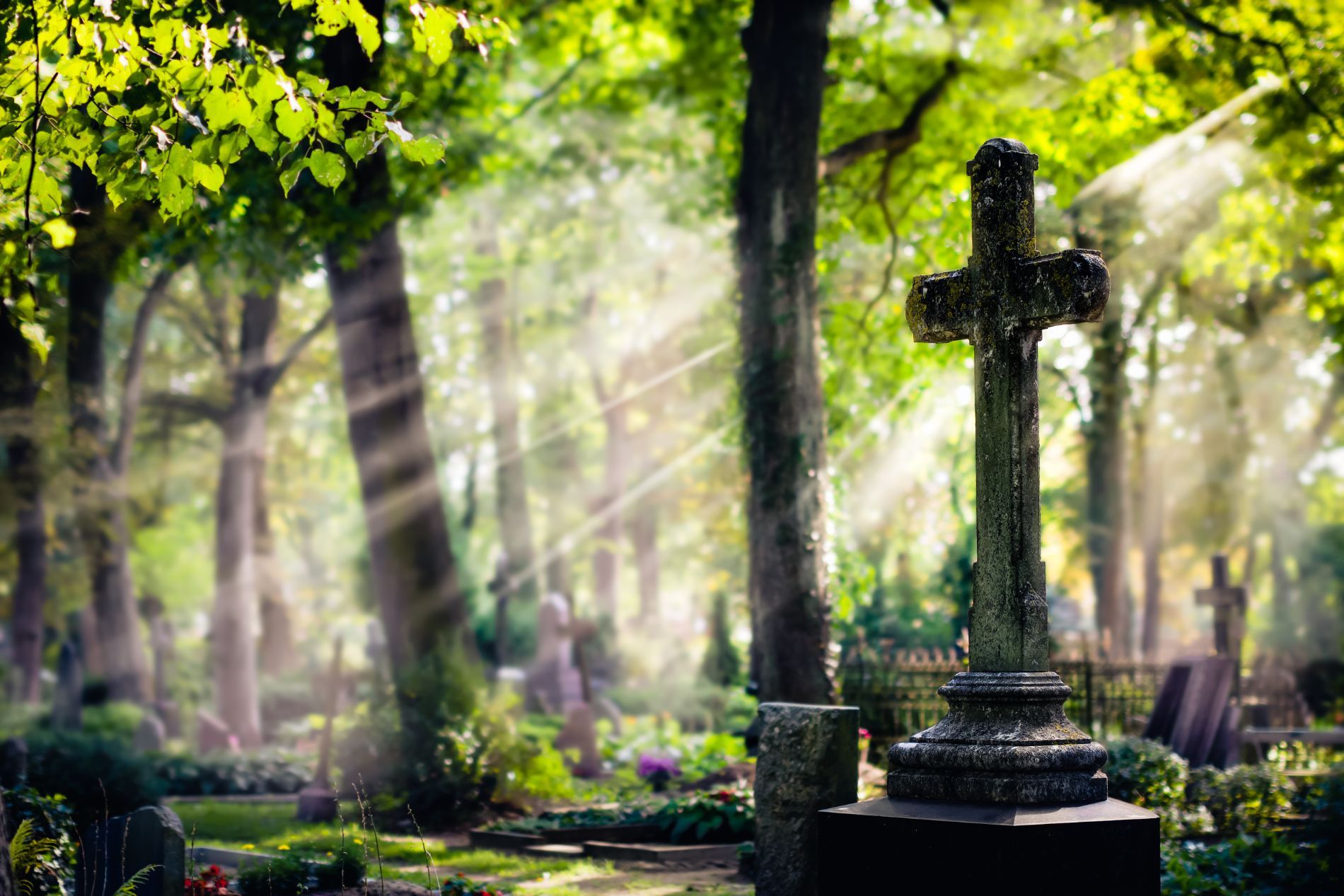 cimitero