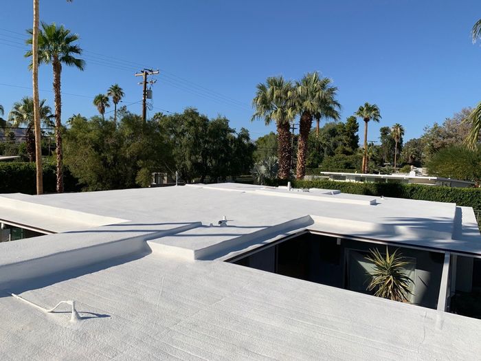 White flat roof with palm trees and greenery in the background under a clear blue sky.