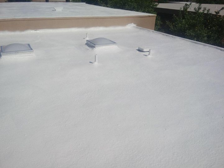 White-coated flat commercial roof with skylights and a vent. A building edge and bushes are in the background.