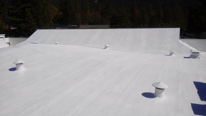 White coated roof with several vents, trees in the background, sunny day.