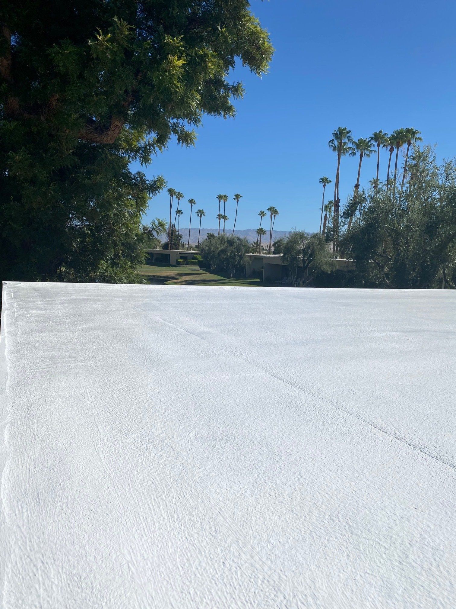 White textured roof, with a sunny landscape view of palm trees, distant buildings, and clear blue sky.