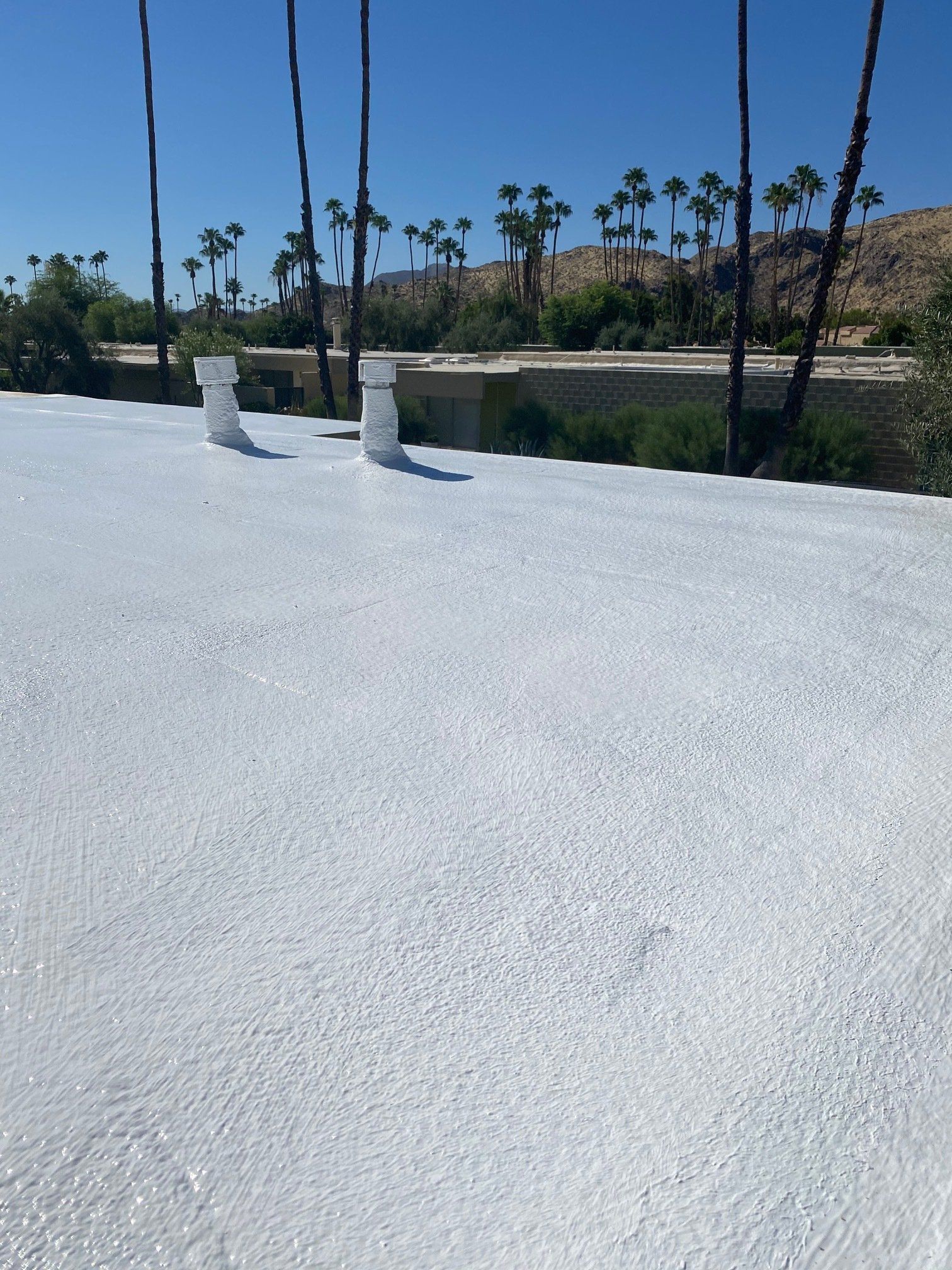 White-coated roof with palm trees in the background under a clear blue sky. Two white vents stand out.