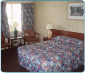 Motel Room | Belleair Village Motel | Largo, FL
