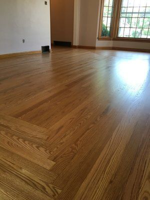 Empty room with light wood flooring and large windows letting in sunlight
