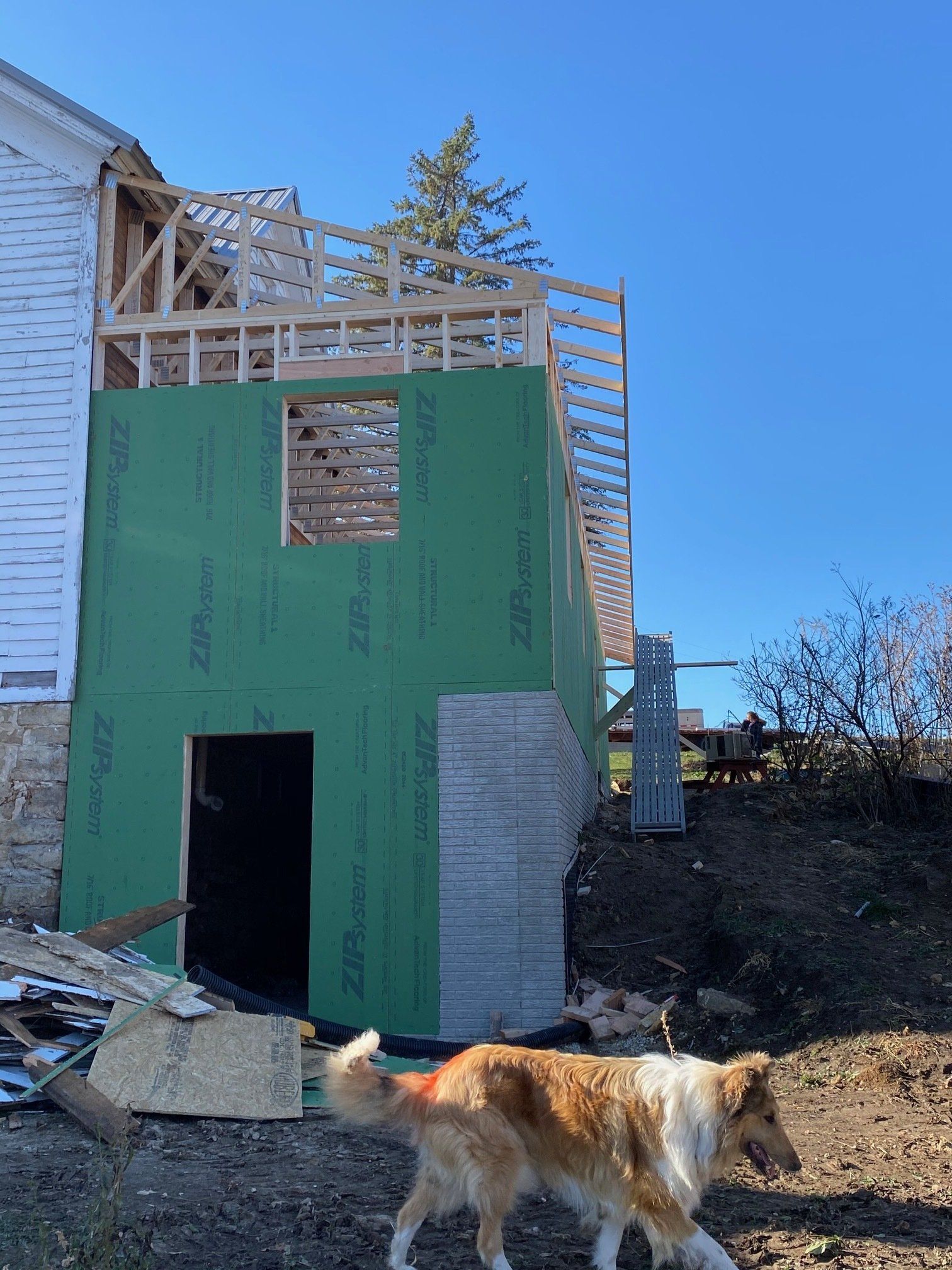 House under construction; green siding, exposed wood framing, collie dog in front.