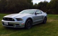 sports car on grass