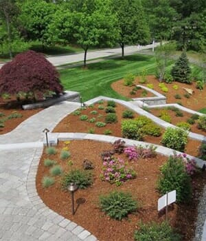 Manicured House and Garden - Burlington, MA