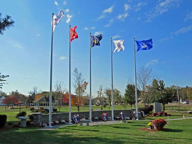 nice cut green grass with flags