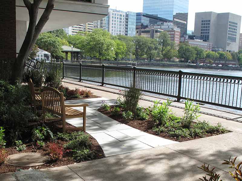 waterfront outdoor landscape