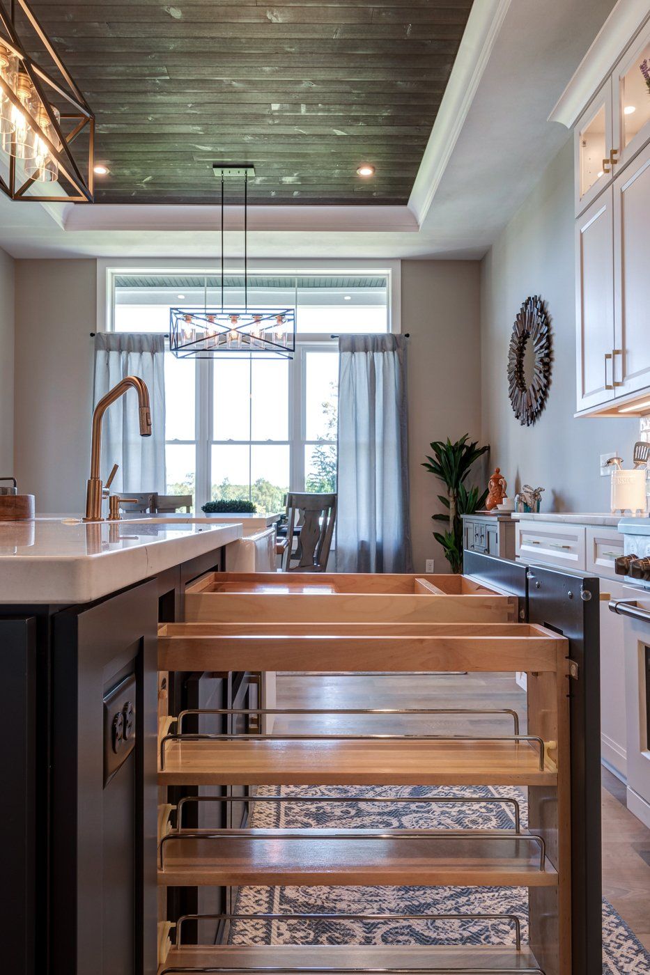 cabinets with pull-out shelves