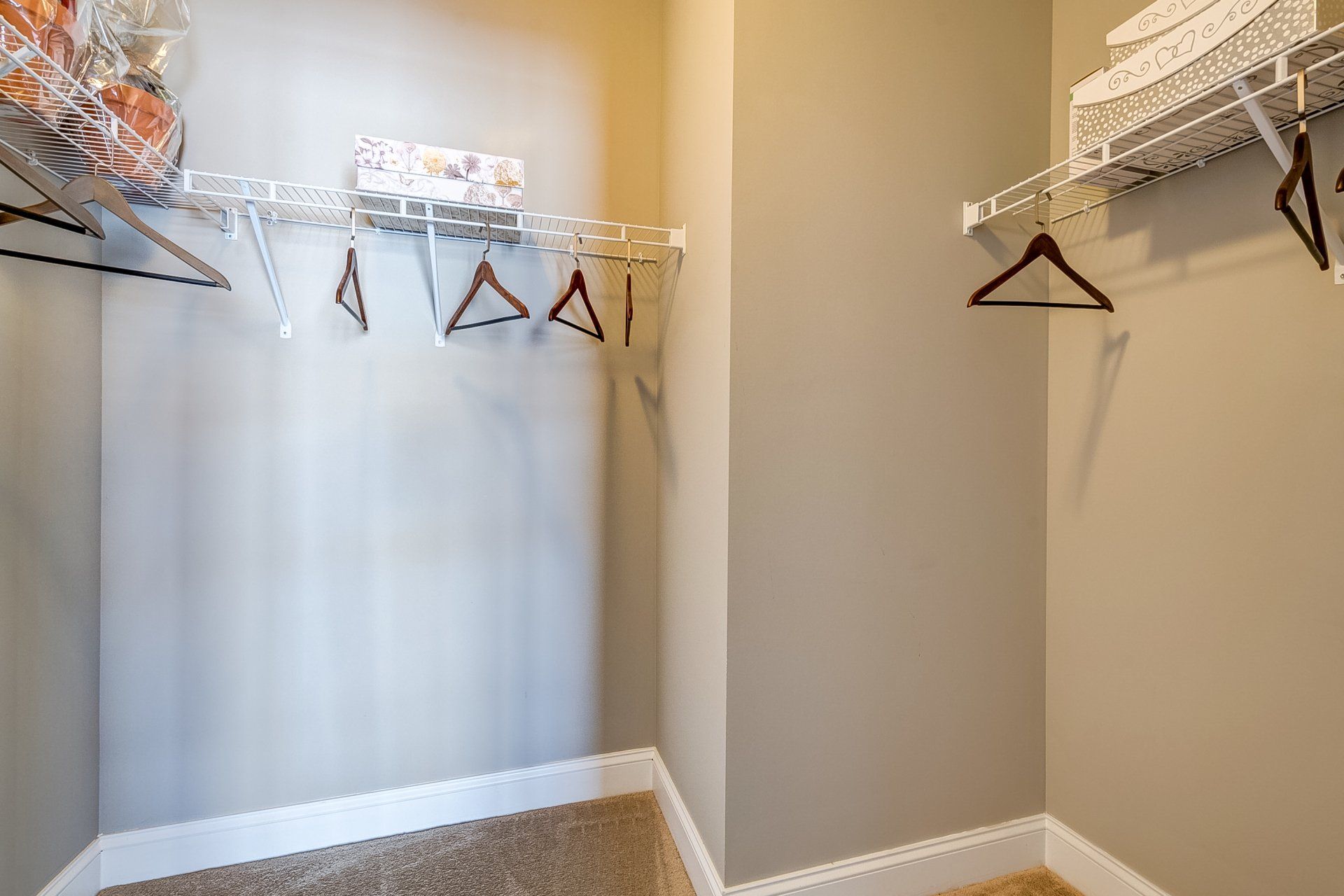 walk-in closet with wire shelf