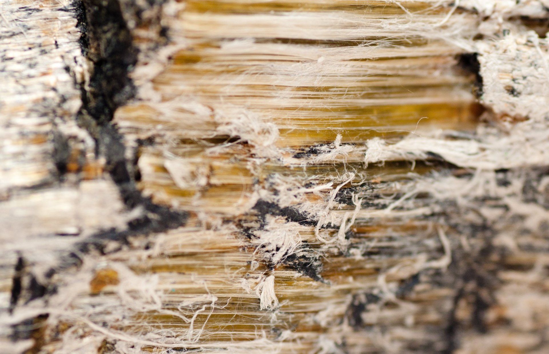 Asbestos Abatement in Queens, NY