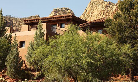 Acreage - Beautiful Garden in Phoenix, AZ