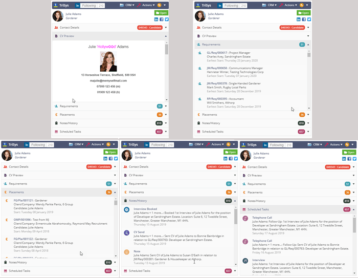 A collage of four screenshots of a resume on a computer screen.