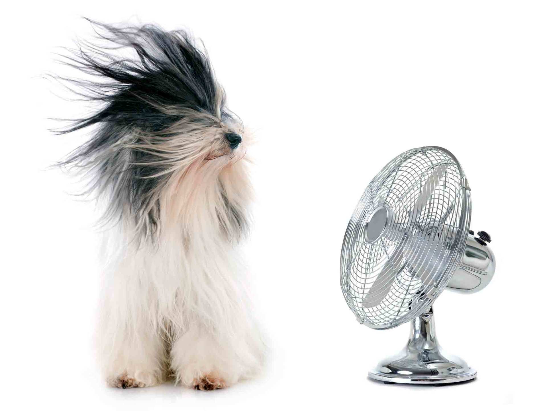 daikin air conditioners daikin air conditioners