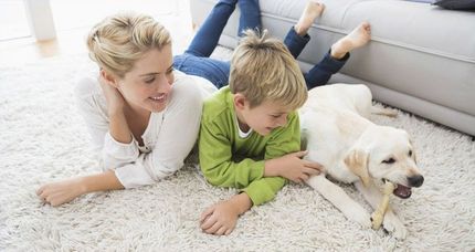 family staying cool