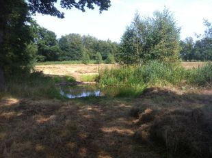 natuurbeheer