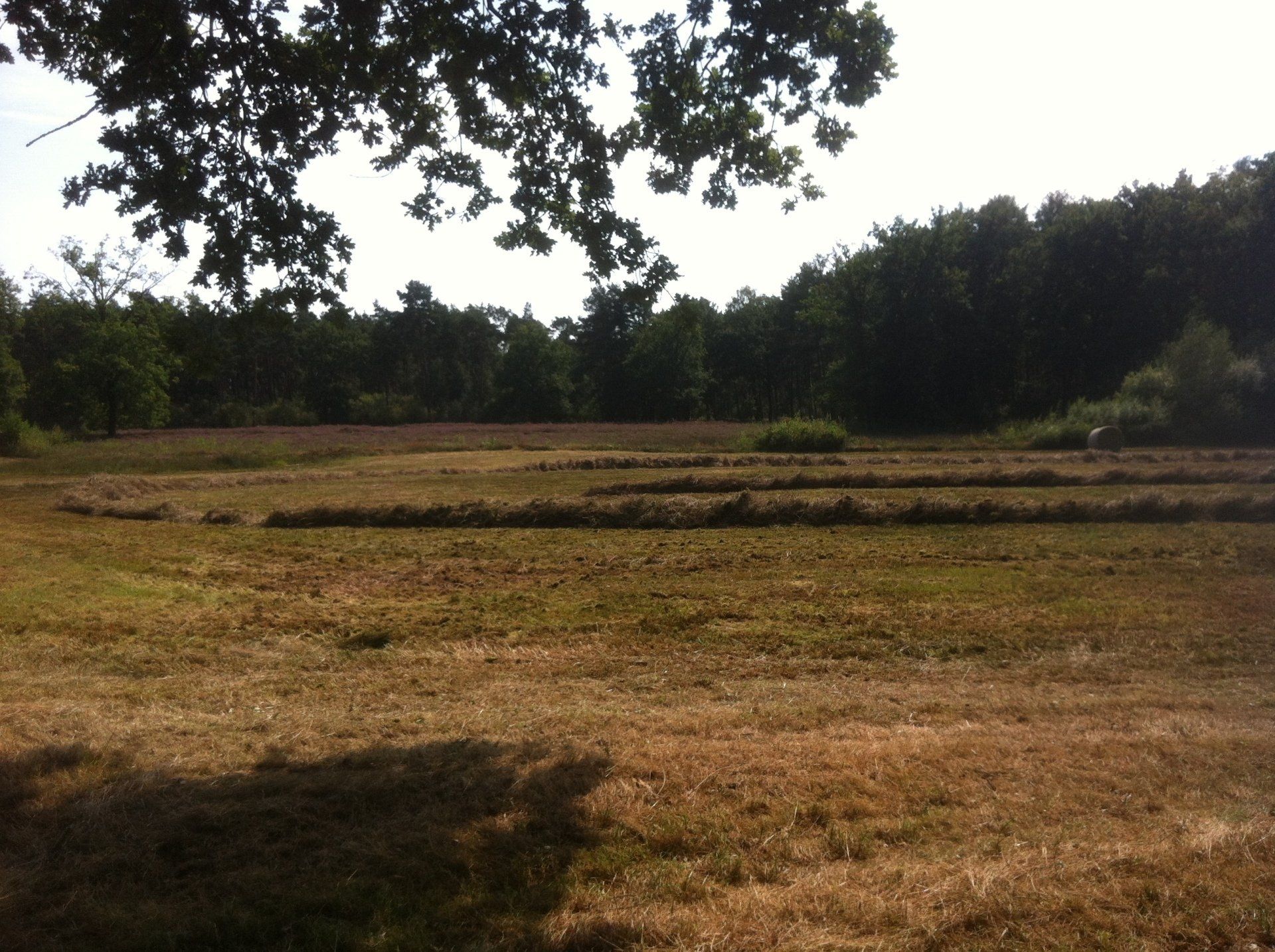 agrarisch natuurbeheer