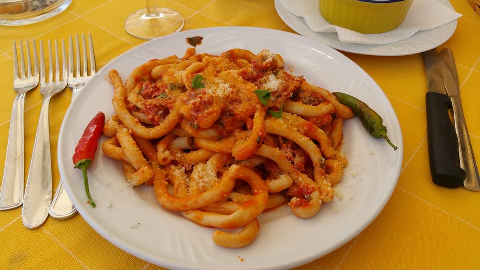 piatto di pasta al sugo con basilico e formaggio