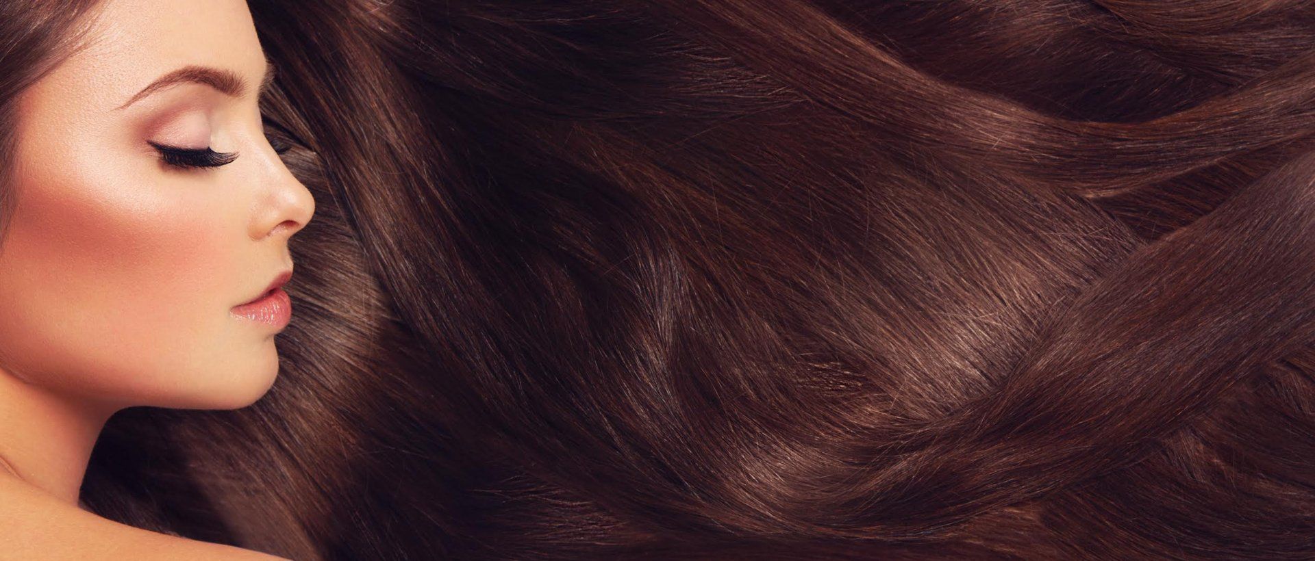 Banner Image 2