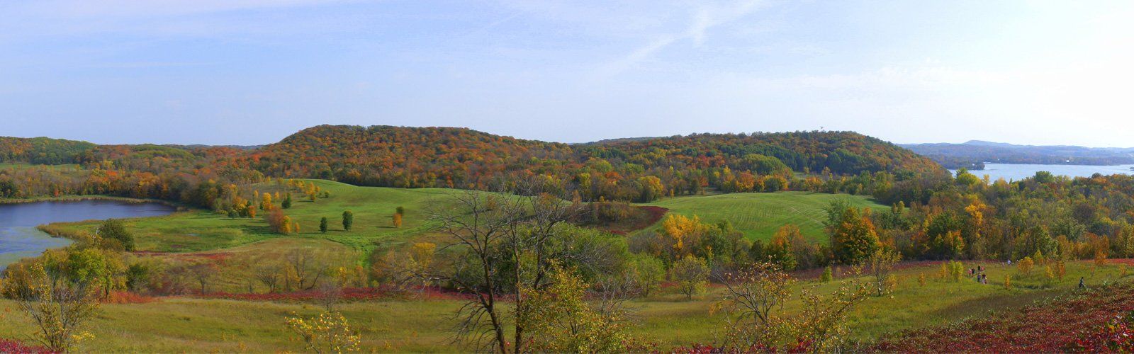 Rolling Hills with Trees