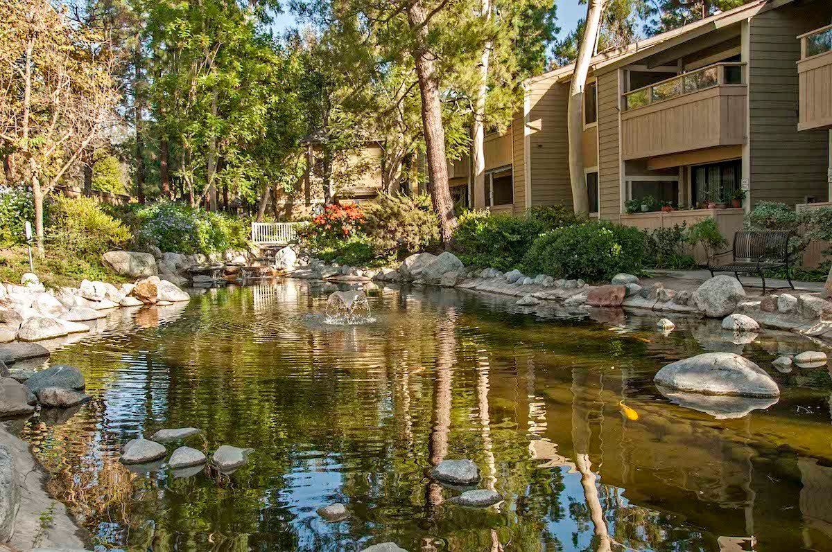 Koi pond on the property