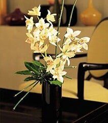 Modern floral Modern floral