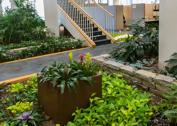 Interior Plants Designing — Outside Office Plants in Chicagoland, IL Interior Plants Designing — Outside Office Plants in Chicagoland, IL