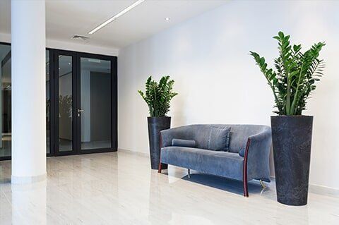 Interior Plants Design — Office Plants in Chicagoland, IL