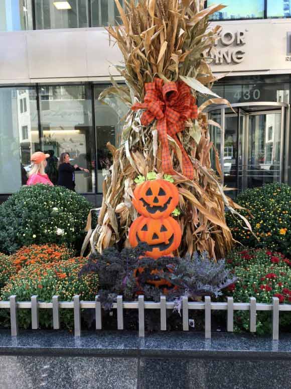 Interior Plants Design — Halloween Plants Design in Chicagoland, IL