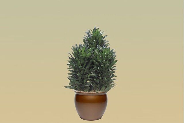 L09 – J.C. Compacta
