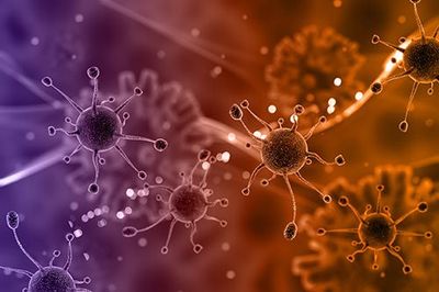 Lymph Node Cancer Cells