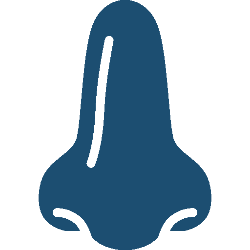 nose image