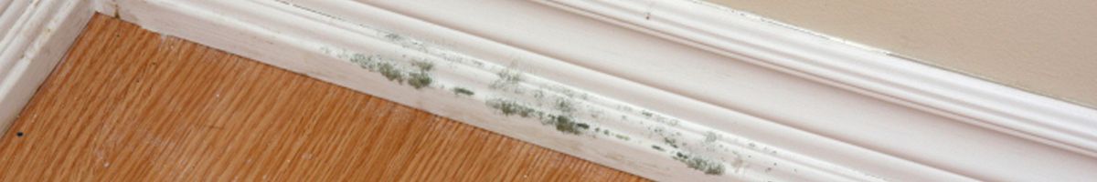 Indoor Air Quality Services Hot Springs