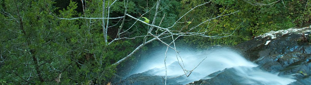 Environmental Consultants Hot Springs Arkansas